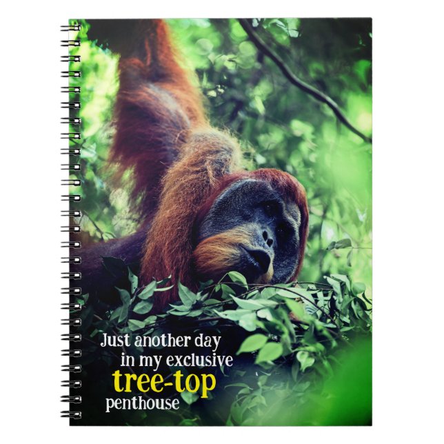 Orangutan relaxing in tree notebook (Front)