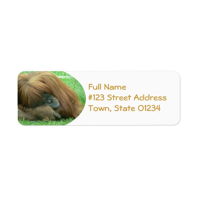 Orangutan Return Address Label (Front)