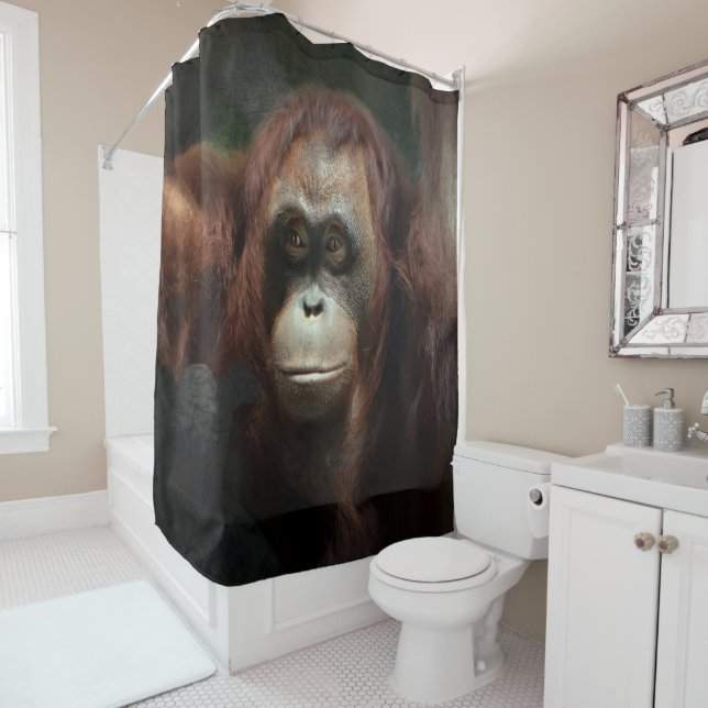 Orangutan Shower Curtain (In Situ)