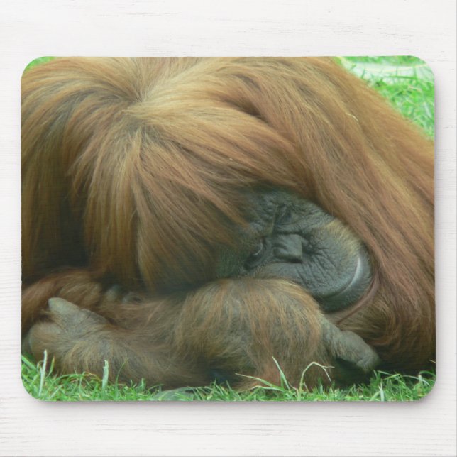 Orangutan Snoozing Mouse Pad (Front)