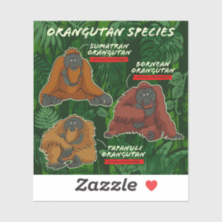 "Orangutan Species" Sticker