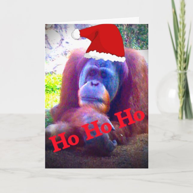 Orangutan standard Christmas cards (Front)