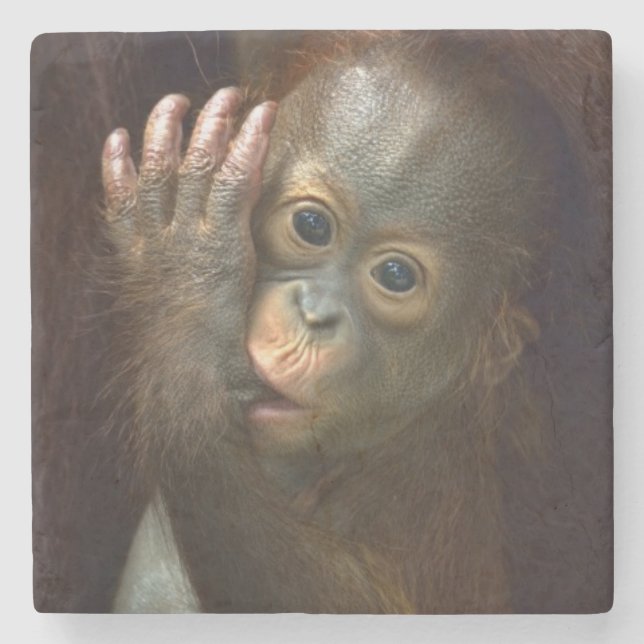 Orangutan Stone Coaster (Front)