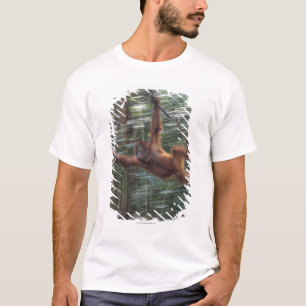 Orangutan Swinging on Liana 2 T-Shirt