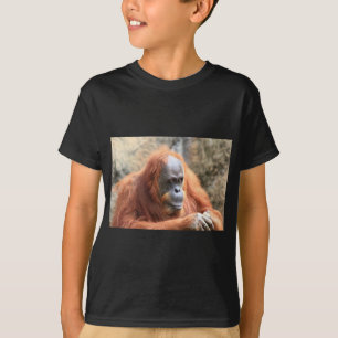 Orangutan T-Shirt