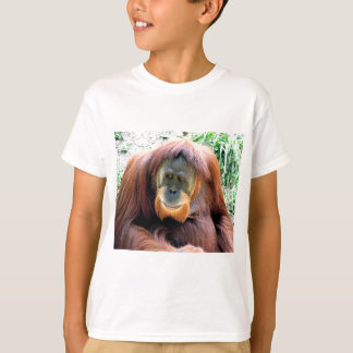 Orangutan T-Shirt
