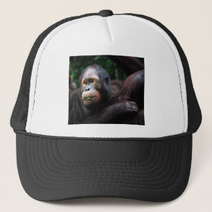 Orangutan Trucker Hat