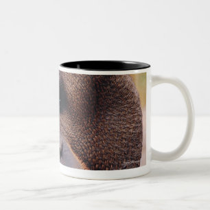 Orangutan Two-Tone Coffee Mug