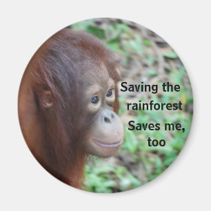 Orangutan Wildlife Charity Magnet