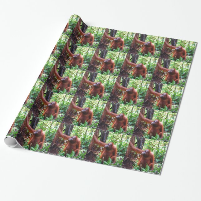 Orangutan Wrapping Paper (Unrolled)