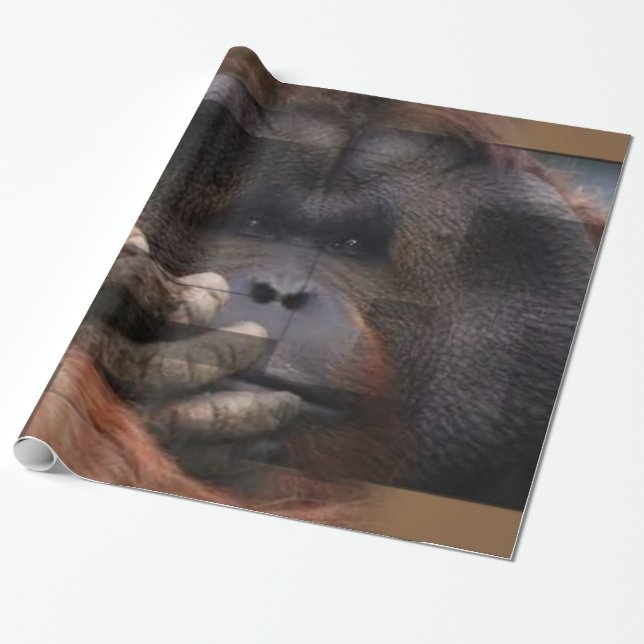 Orangutan Wrapping Paper (Unrolled)