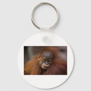 Orangutang baby key ring