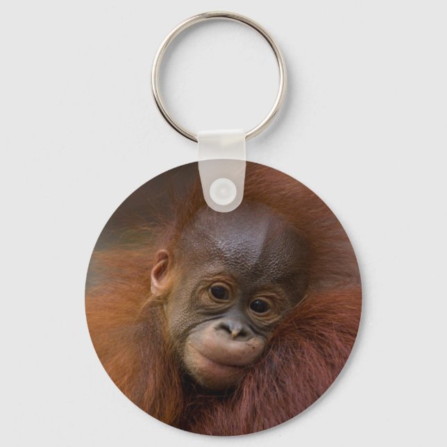 Orangutang baby key ring (Front)