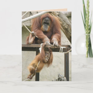 "orangutang" mother's day greeting card