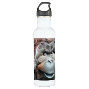 ORANGUTANS 710 ML WATER BOTTLE