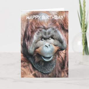 ORANGUTANS CARD