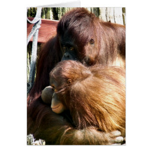 ORANGUTANS CARD