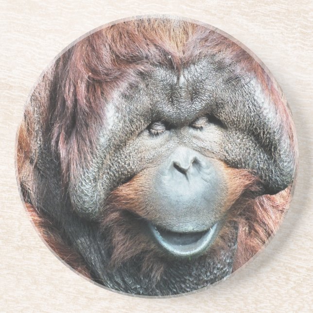 ORANGUTANS COASTER (Front)