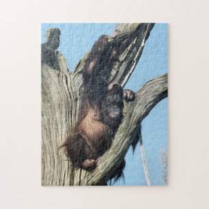 ORANGUTANS JIGSAW PUZZLE