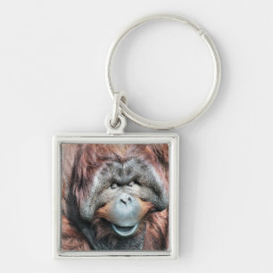 ORANGUTANS KEY RING