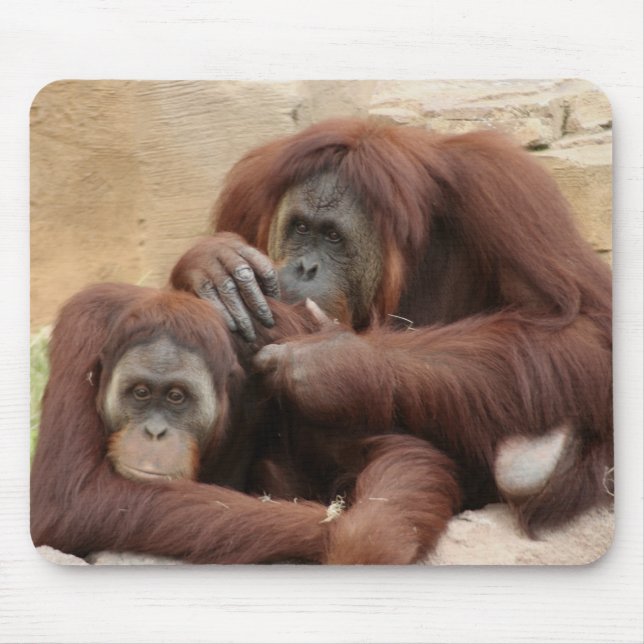 Orangutans Mouse Pad (Front)
