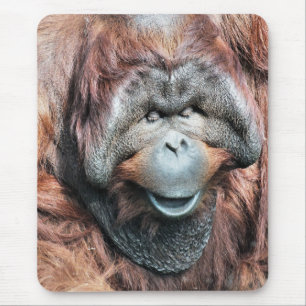 ORANGUTANS MOUSE PAD
