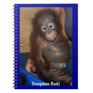 Orangutans Rock Notebook