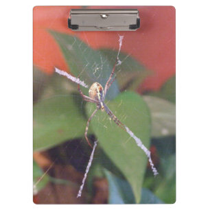 Orb Spider Clipboard