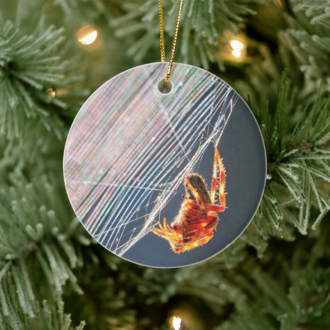 Orb Spider on Web  Ceramic Ornament (Tree)