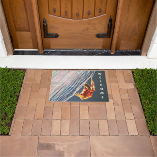 Orb Spider on Web  Doormat