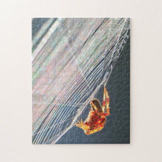 Orb Spider on Web  Jigsaw Puzzle