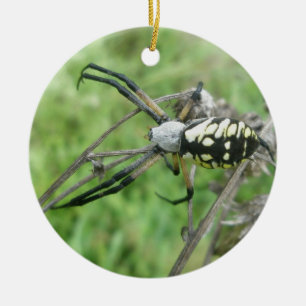 Orb Weaver Argiope aurantia Christmas Ornament