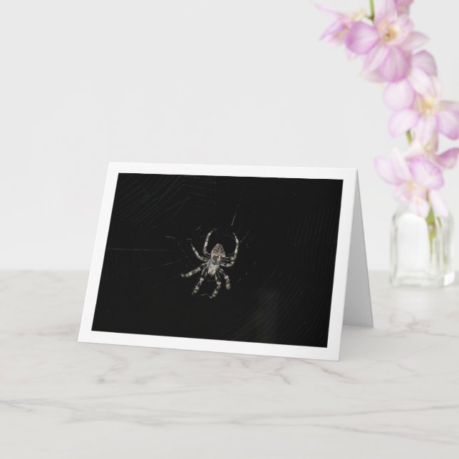 Orb-weaver Spider Card (Orchid)