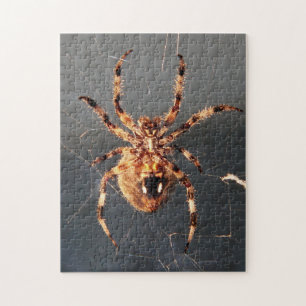 Orb Weaver Spider Jigsaw Puzzle