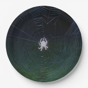 Orb Weaver Spider Paper Plate