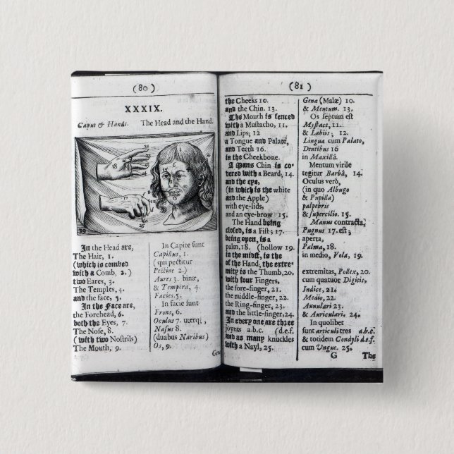 'Orbis Sensualium Pictus' 15 Cm Square Badge (Front)