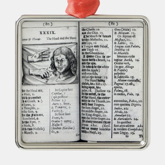 'Orbis Sensualium Pictus' Metal Tree Decoration (Front)