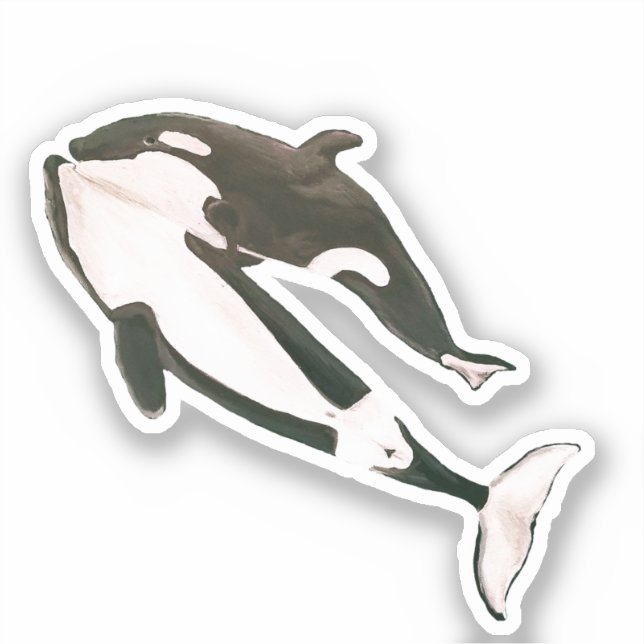 Orca  (Front)