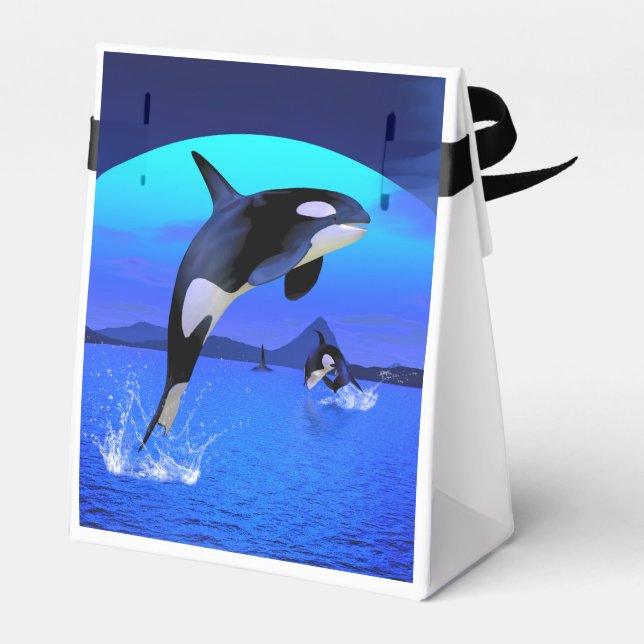 Orca 1 favour box (Back Side)