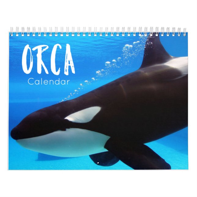 orca 2023 calendar funny & cute orcas (Cover)