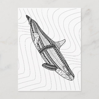 Orca Adult Colouring Postcard