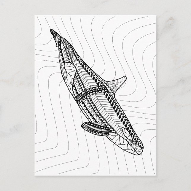 Orca Adult Colouring Postcard (Front)