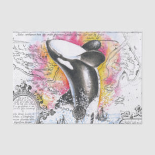 Orca Ancient Rainbow Map Tissue Paper