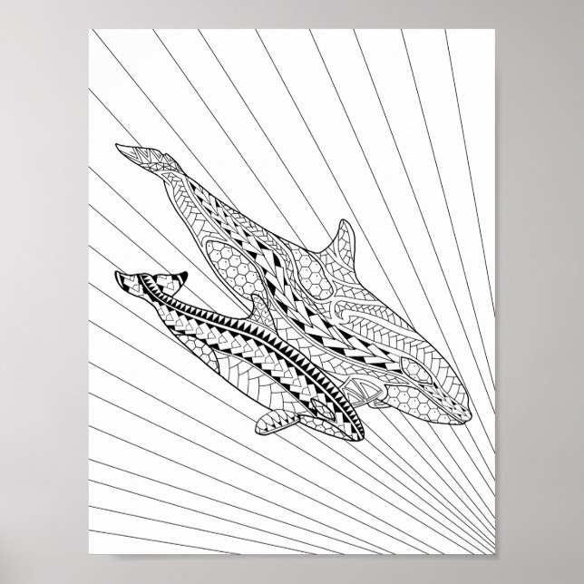 Orca And Baby Adult Colouring Poster (Front)