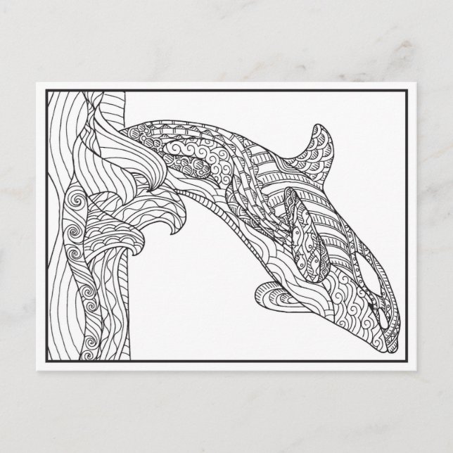Orca Black and White Postcard (Front)