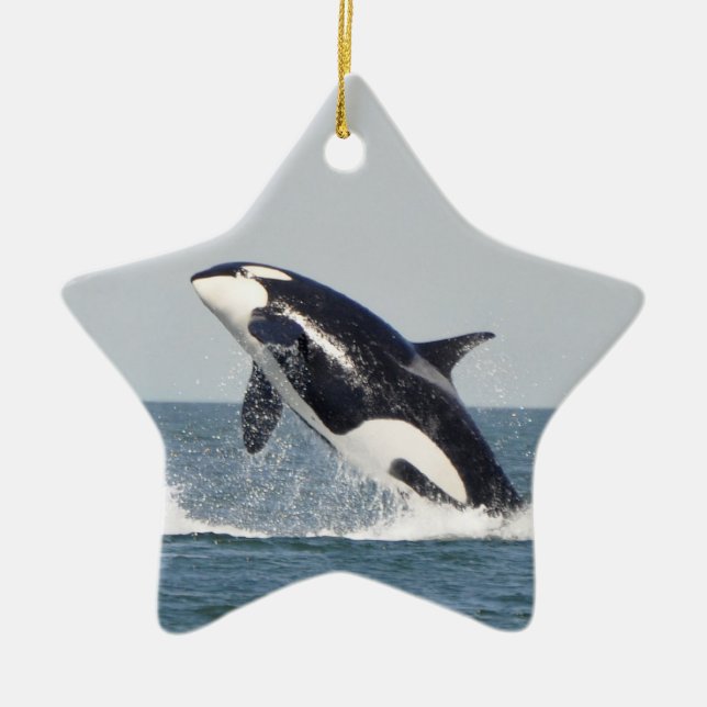 Orca Breach Ornament 2 (Front)