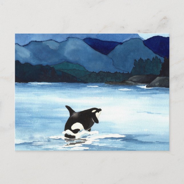 Orca Breach Postcard (Front)