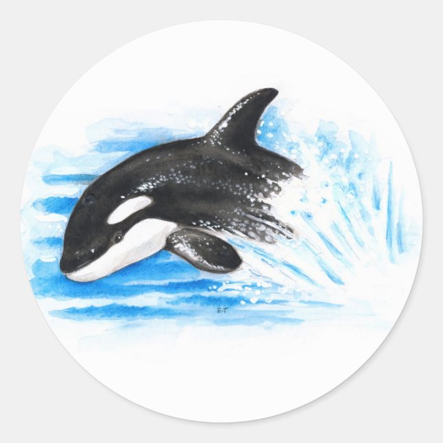 Orca Breaching Classic Round Sticker (Front)