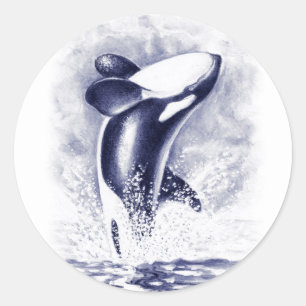 Orca Breaching Classic Round Sticker