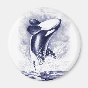 Orca Breaching Magnet
